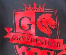 Grifindor Hoodie